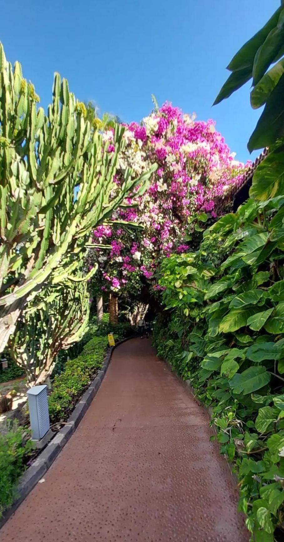 "Cathy'S Home"- Apart Luxury - Adult Only - Large Terrace Private Puerto de Santiago  Esterno foto